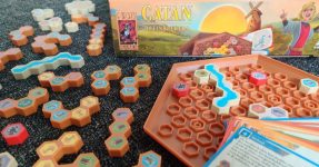 Catan Breinbrekers 999 Games puzzelspel