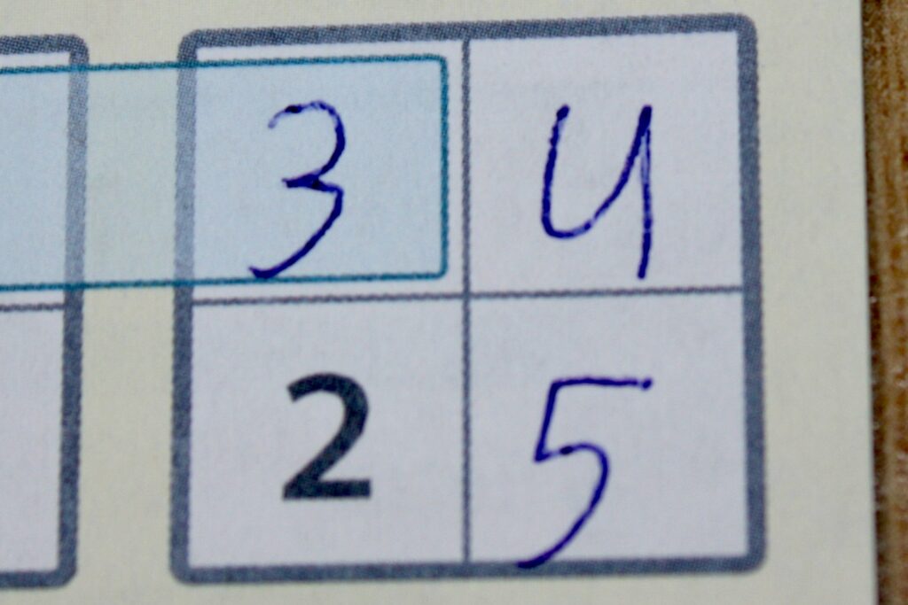 variant dobbelspel Blokken